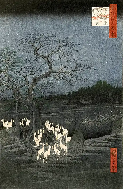 New Year's Eve Foxfires at the Changing Tree